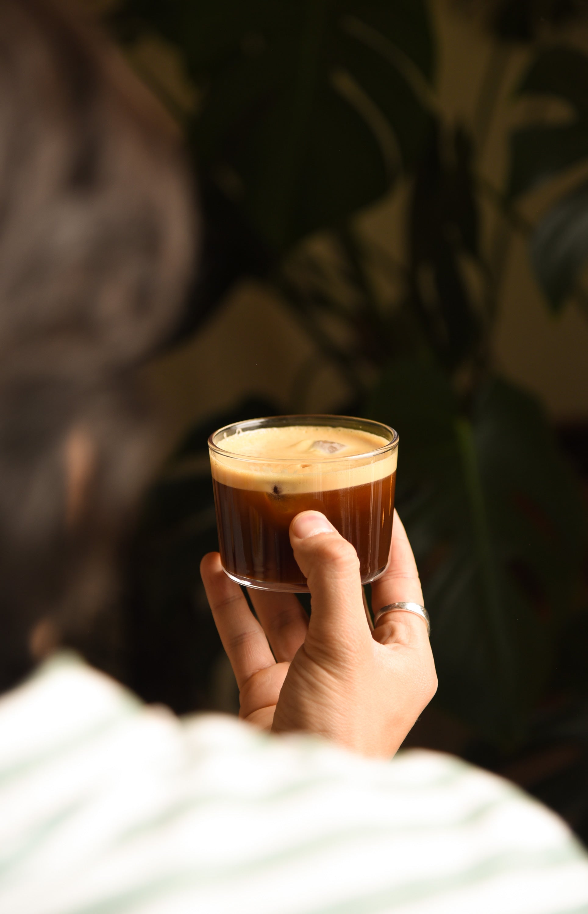 Lavado de Veracruz 84 pts