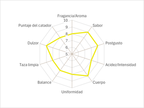 Lavado de Veracruz 84 pts