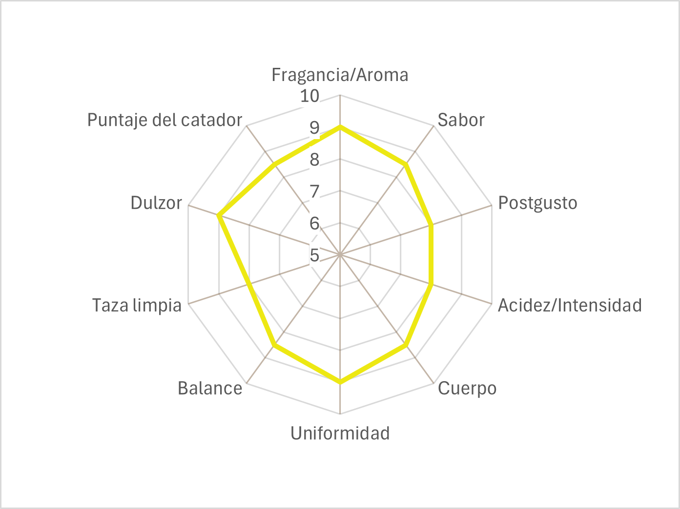 Lavado de Veracruz 85 pts